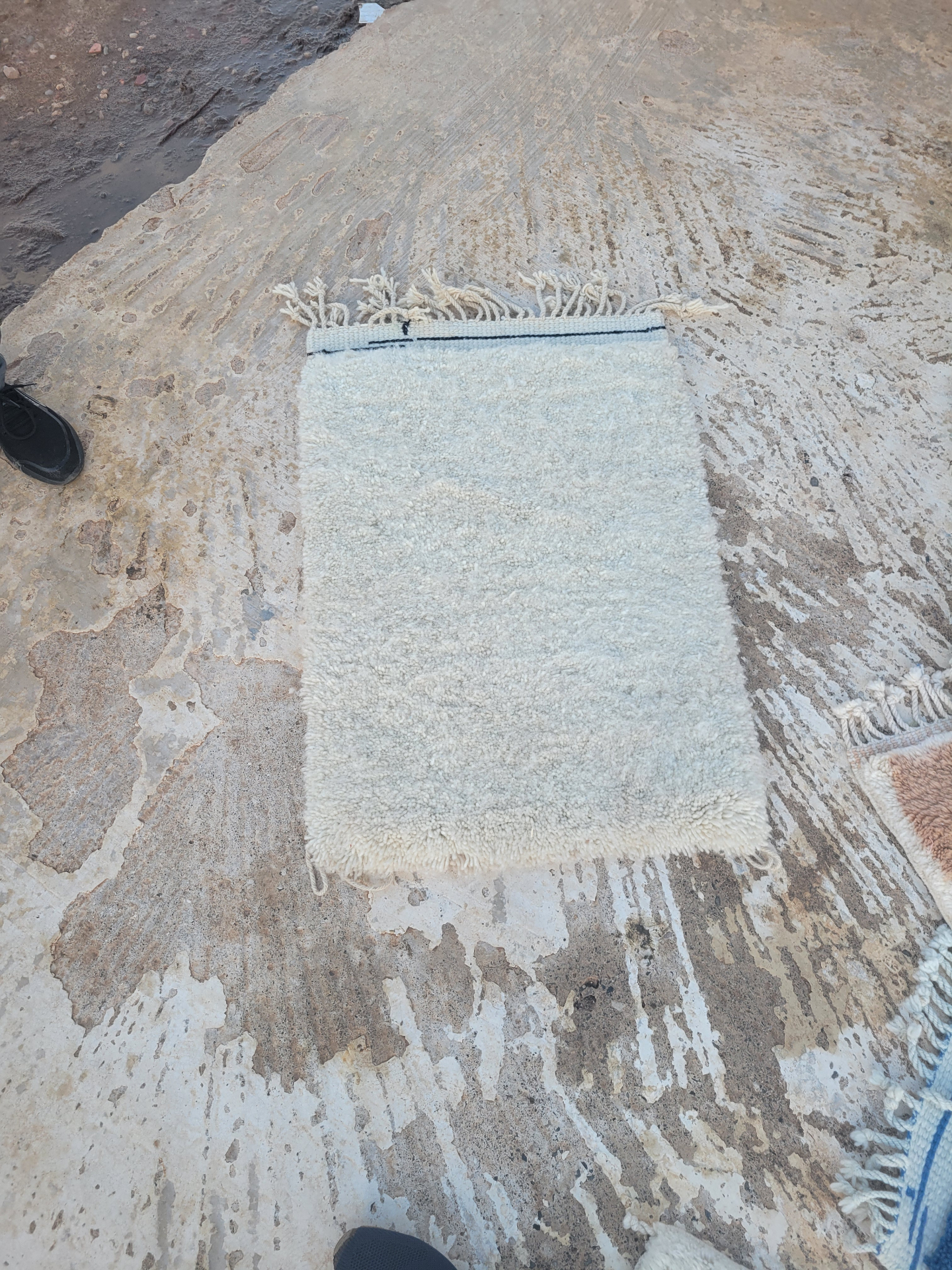 Rug washing process