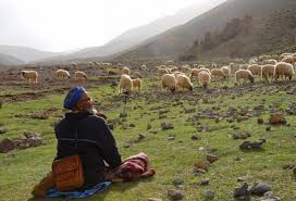 Middle Atlas mountains near Mrirt, Morocco, where Azral wool is sourced